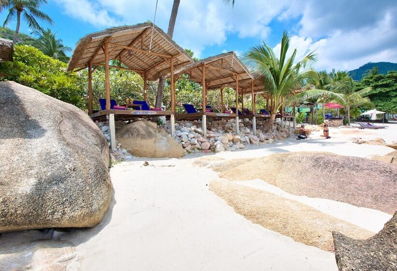 هتل Crystal Bay Yacht Club Beach Resort