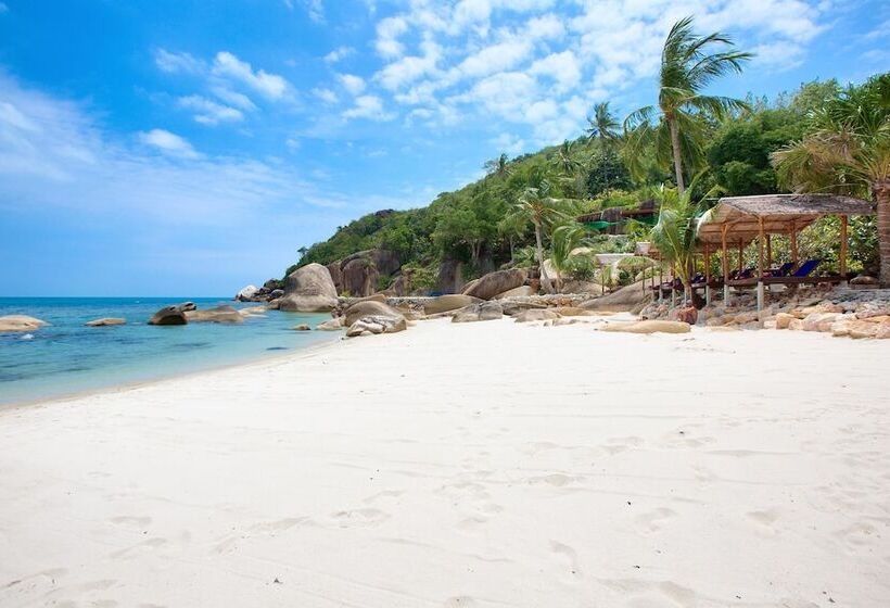 هتل Crystal Bay Yacht Club Beach Resort