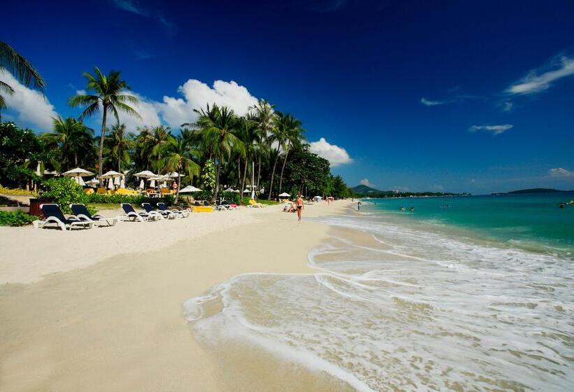 استراحتگاه Centara Reserve Samui