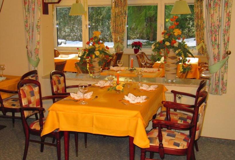Pension Marie Luise, Hotel Garni