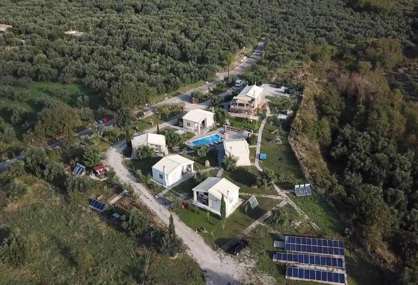 Socrates Organic Village   Wild Olive