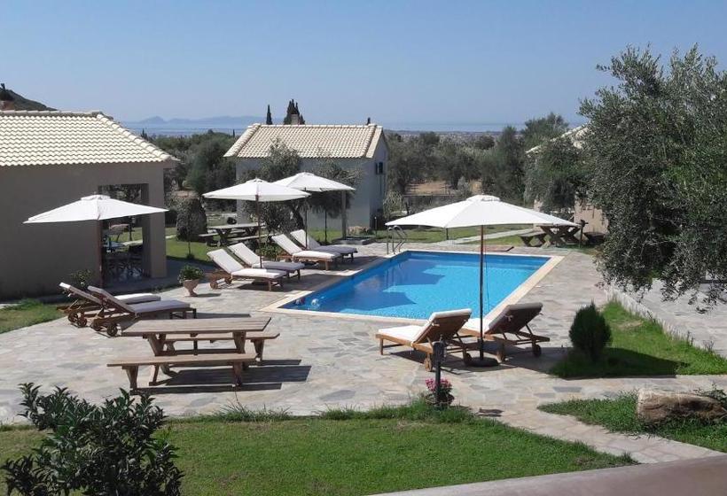 Socrates Organic Village   Wild Olive