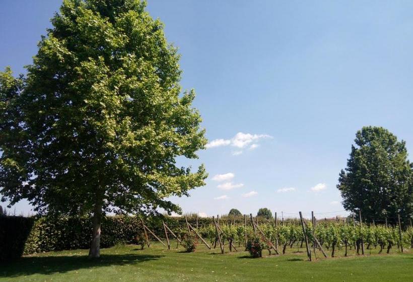 Fenil Conter Cottage & Suite