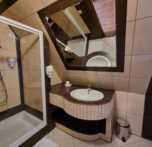 پانسیون Willa Silene   Góralska Muzyka Na żywo, Blisko Termy I Wyciągów