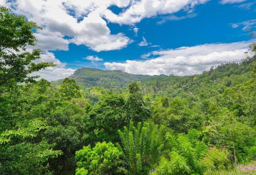 Pensión Zircon Ella