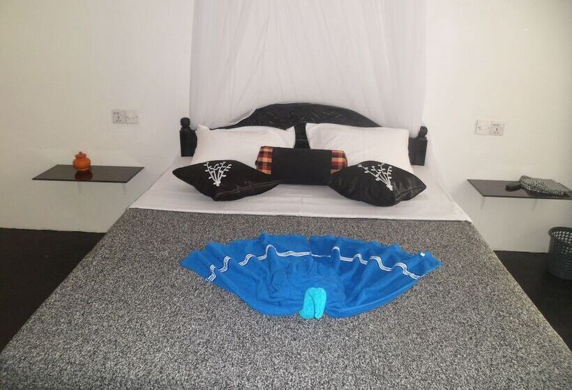 Pensión Zircon Ella