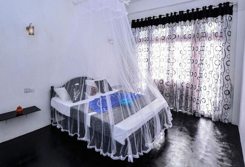 Pensión Zircon Ella