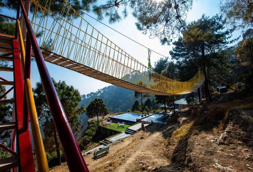 Blue Pine Resort