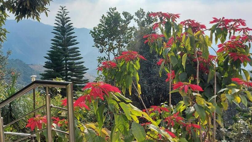 Blue Pine Resort