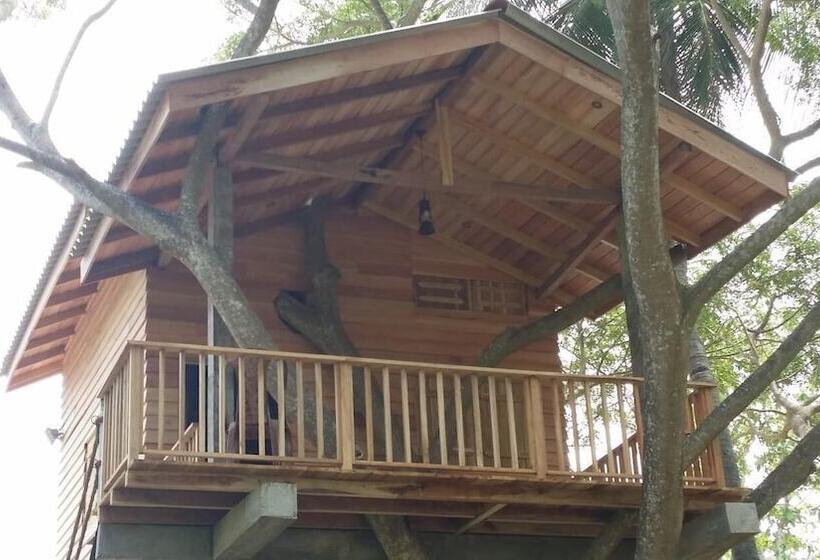 فندق Wilpattu Tree House