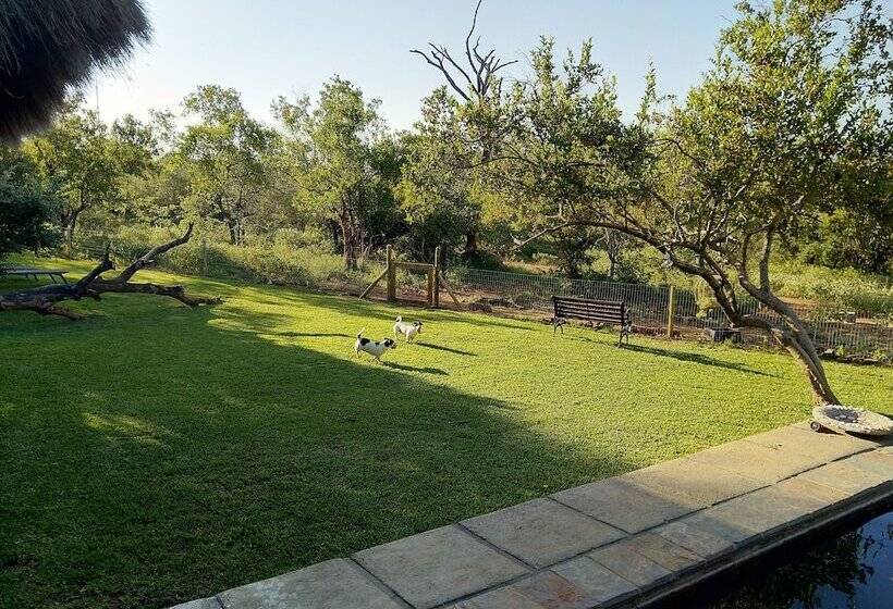 בית מלון כפרי Call Of The Wild Lodge