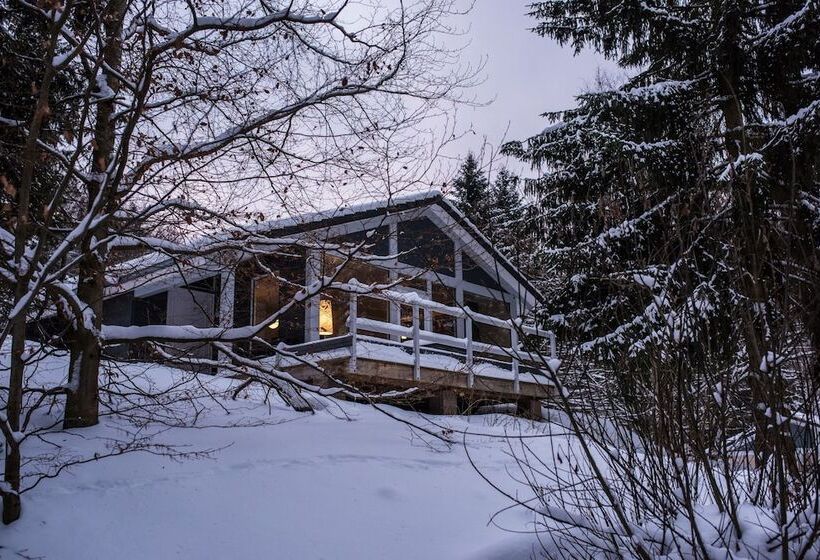 Ferienhaus Lichtung