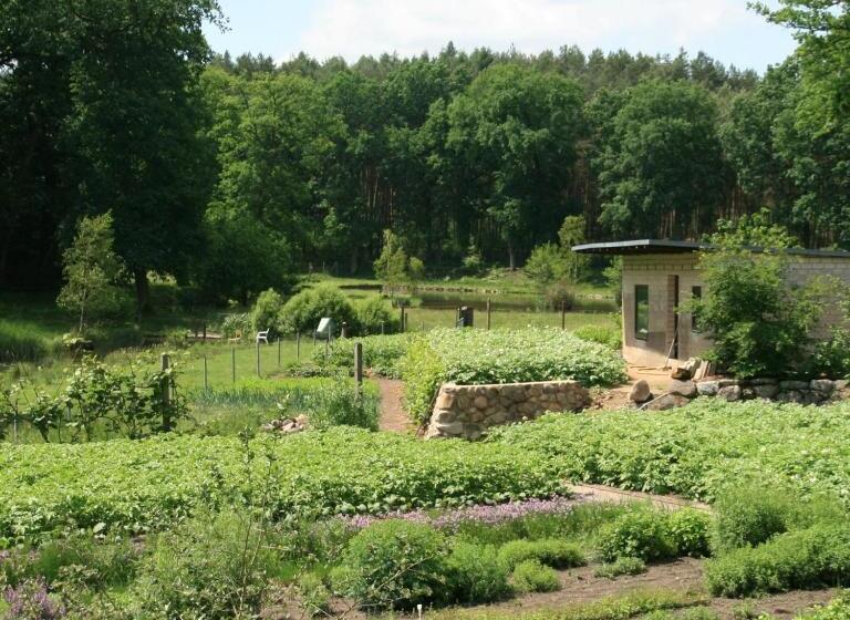 Pension & Gasthaus Kattenstieg