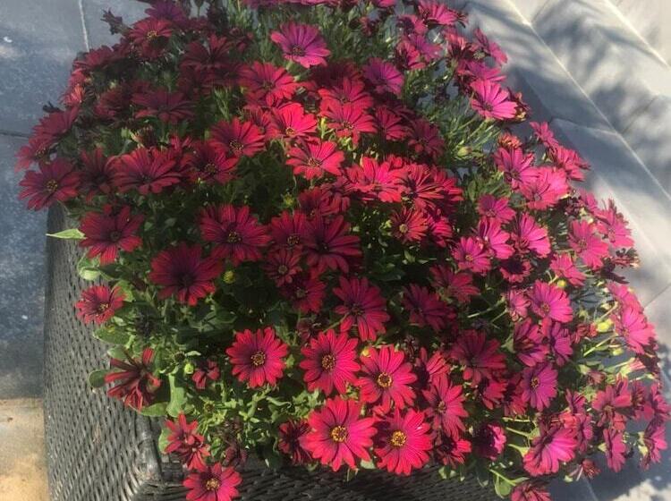 צימר Hilmors Overnatning