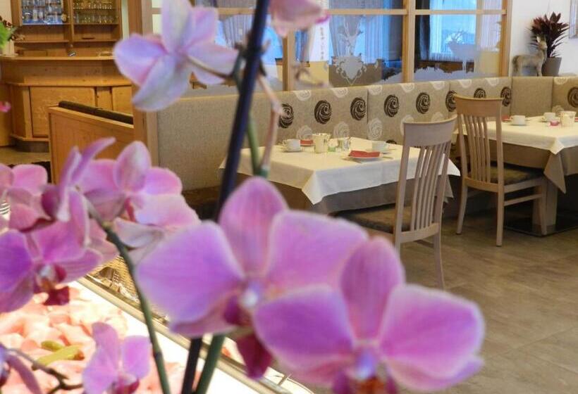 Garni Hotel Mezdi