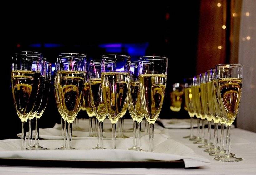 בית מלון כפרי Pajarinhovi