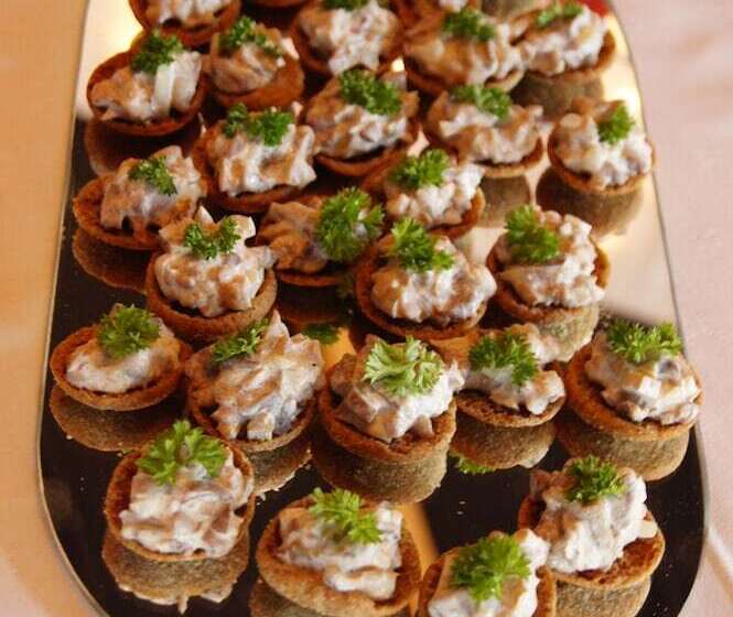 בית מלון כפרי Pajarinhovi