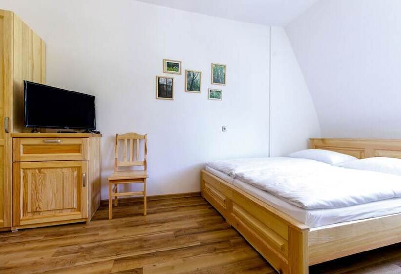 Пансион Spa Pod Javory