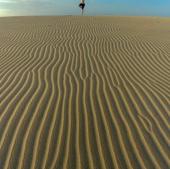 호텔 Back Of Beyond Dune Camp Yala