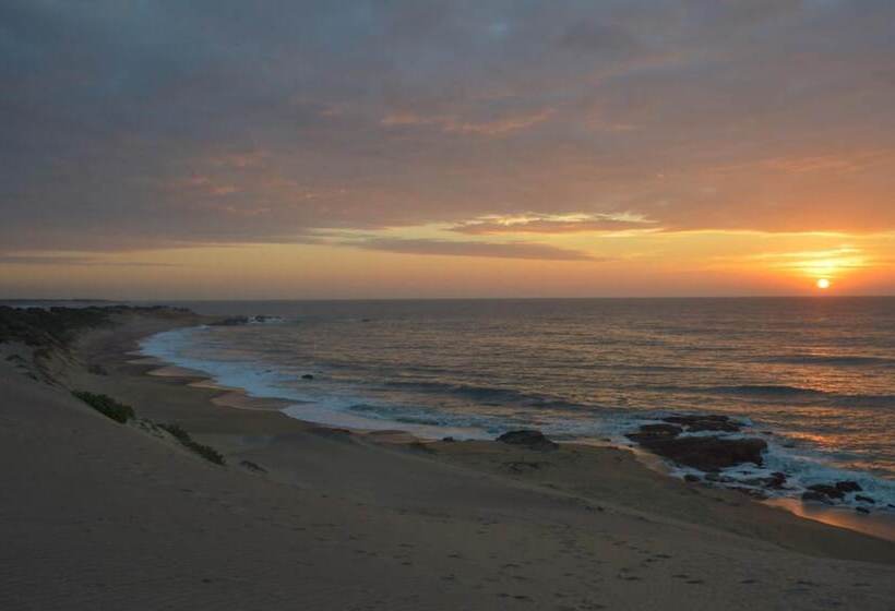 فندق Back Of Beyond Dune Camp Yala