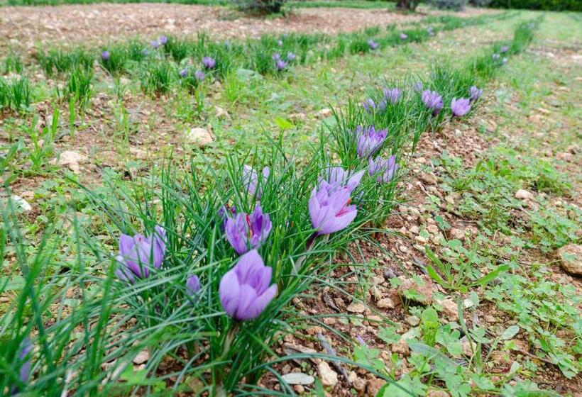 Agriturismo Panacea