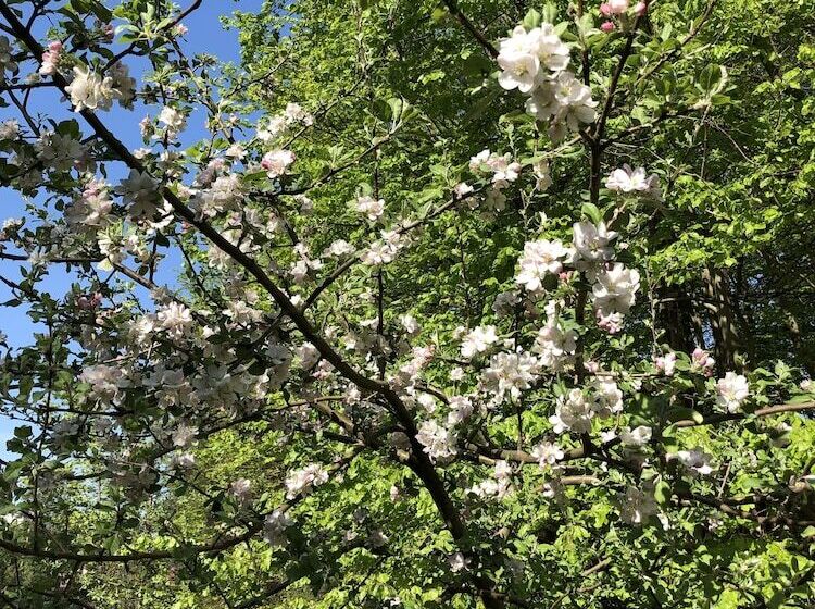 צימר Riverside Inn