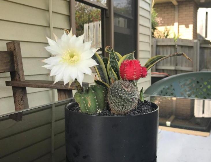 پانسیون Port Campbell Guesthouse & Flash Packers