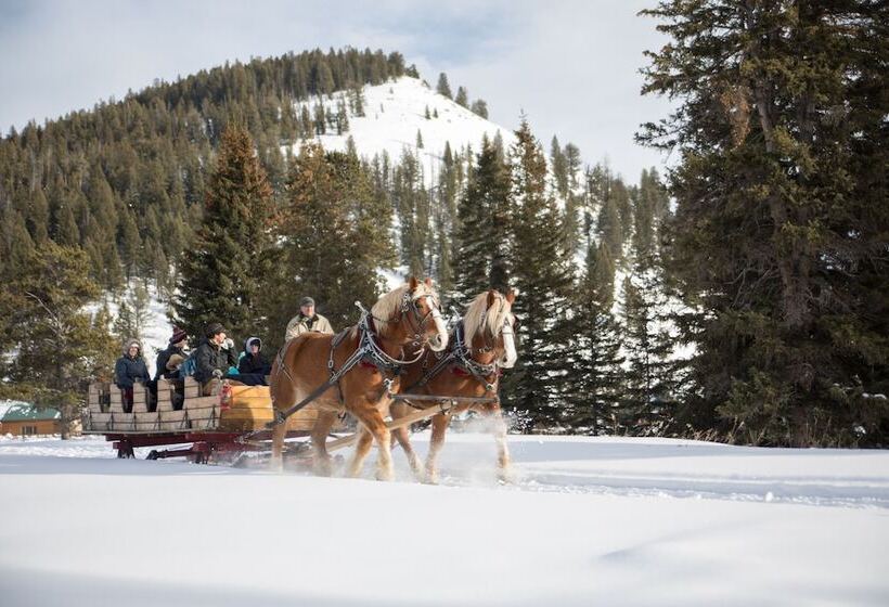 منتجع 320 Guest Ranch