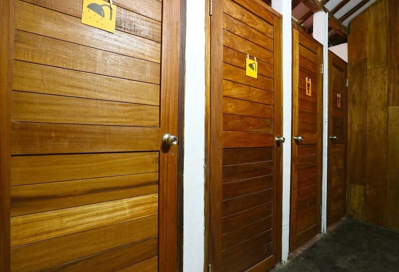Draper Startup House For Entrepreneurs   Hostel