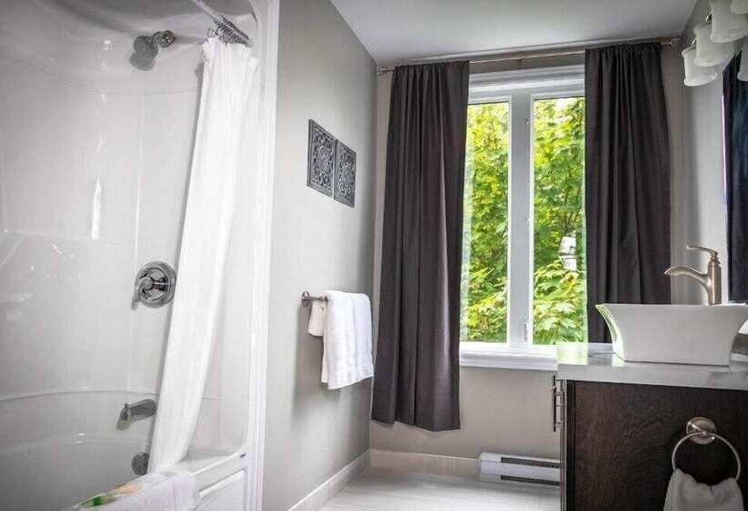 فندق على الطريق Newfound Inn & Suites