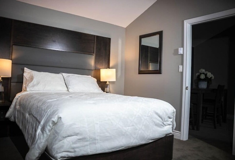 فندق على الطريق Newfound Inn & Suites