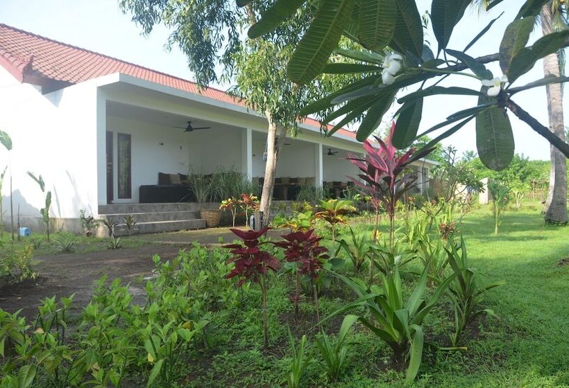 تختخواب و صبحانه Amigos Bungalows Gili Meno