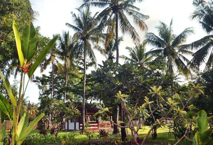 تختخواب و صبحانه Amigos Bungalows Gili Meno