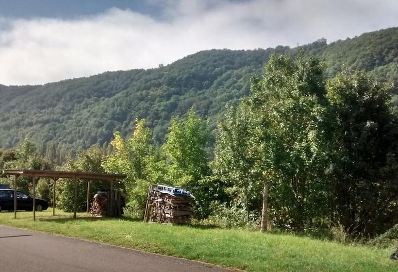 ペンション Weingut Sauer Kettermann