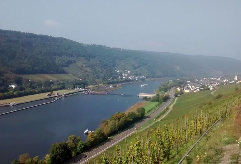 ペンション Weingut Sauer Kettermann