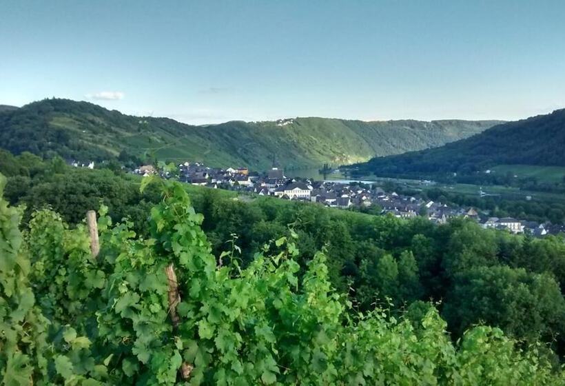 ペンション Weingut Sauer Kettermann