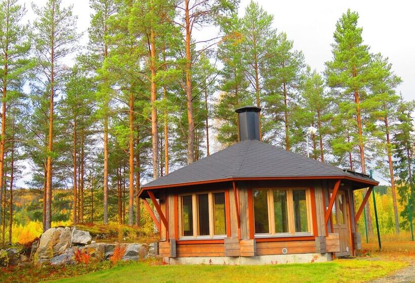 Tahko Tours