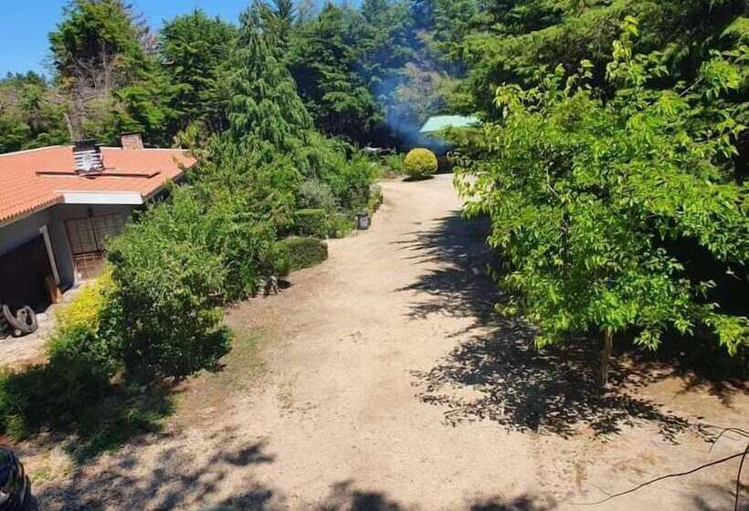 住宿加早餐  Quinta Sul America