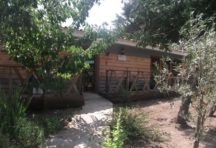 住宿加早餐  Quinta Sul America