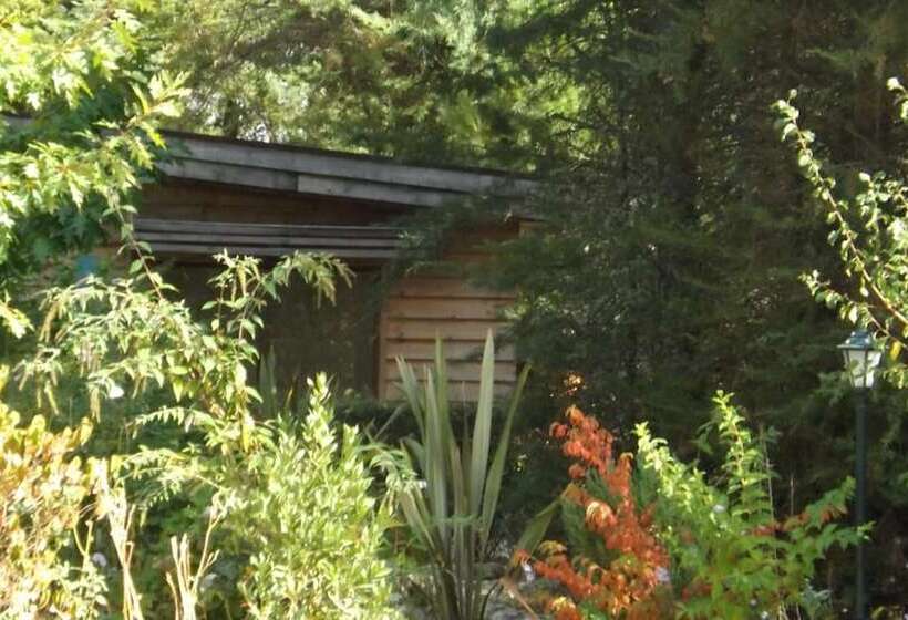 住宿加早餐  Quinta Sul America