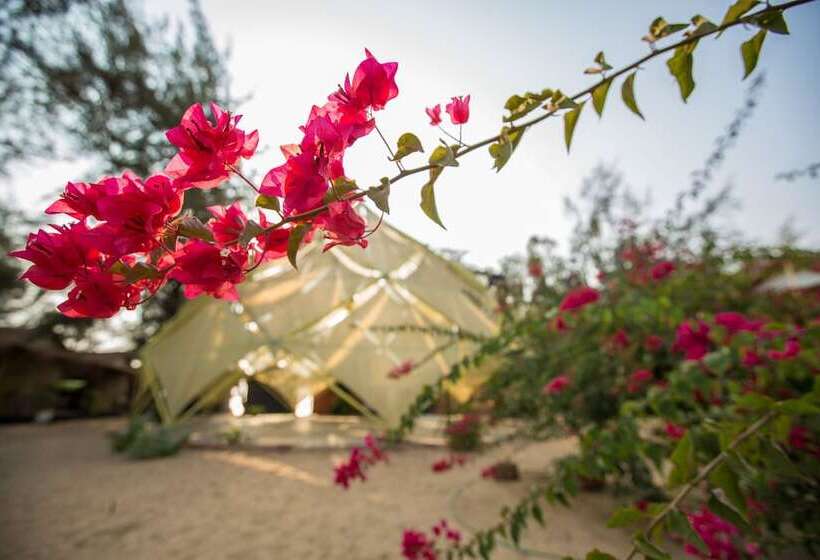 Bougainvileapatnem