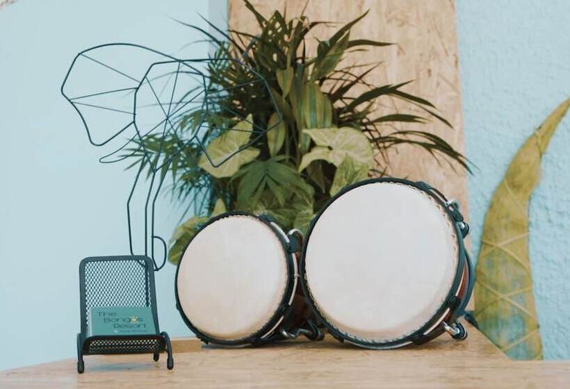 فندق The Bongos   Socially Conscious Rooms, Part Of The Room Rate Goes To Charity