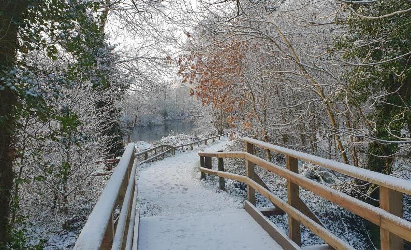 مبيت وإفطار Dergfield House