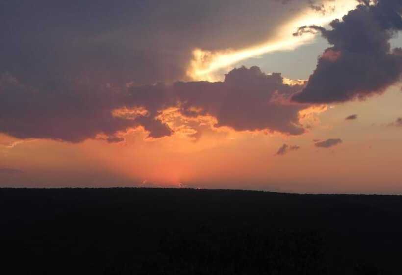 فندق Dinkweng Safari Lodge