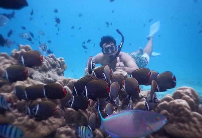 هتل Freddies Santai Sumurtiga