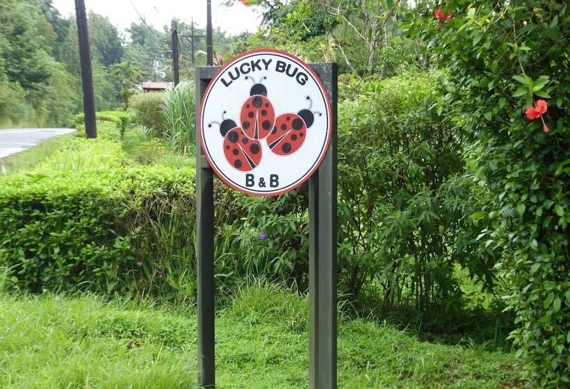 Lucky Bug B & B