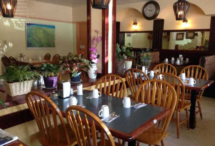 モーテル Sundre Motor Inn