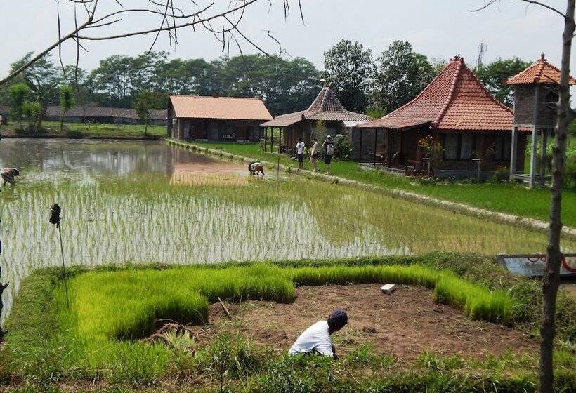پانسیون Alamanda Family Villas & Pool