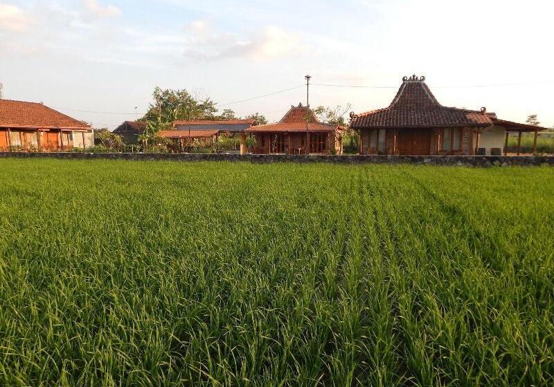 پانسیون Alamanda Family Villas & Pool