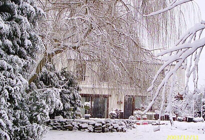 פנסיון Le Chateau De Frankie Spas Saunas